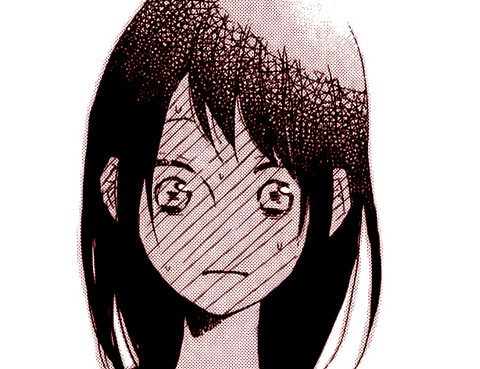 水面上的百合花