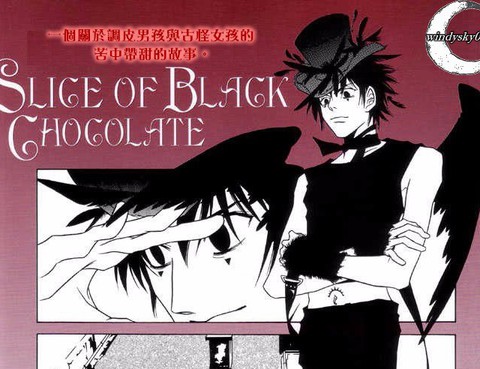 Slice of Black Chocolate