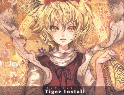 Tiger Install