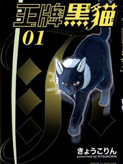 王牌黑貓