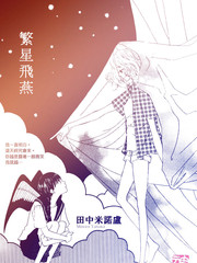 繁星飛燕