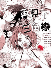 再見了三角戀