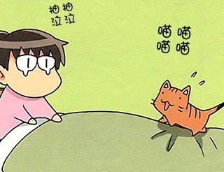 笨太的日常生活