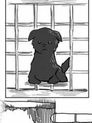 愛玩犬