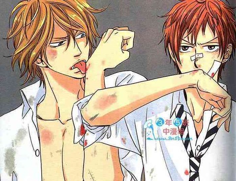 你的答覆我才不聽