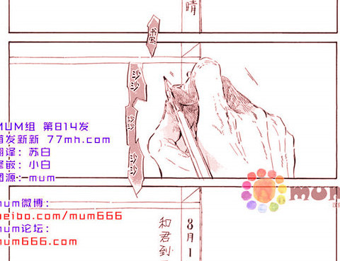夕照中的彩虹