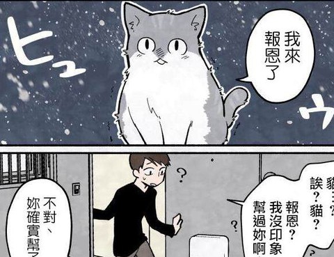 貓的報恩