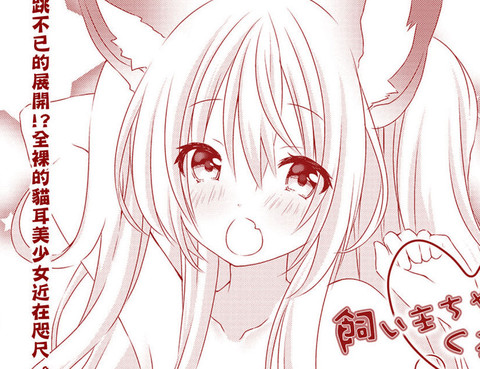 飼主醬和九瑠美醬