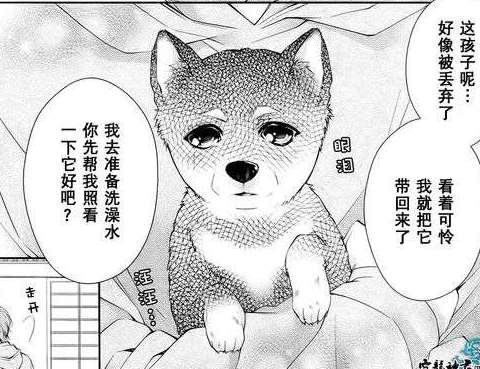 完美KISS