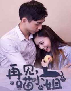 再見喵小姐
