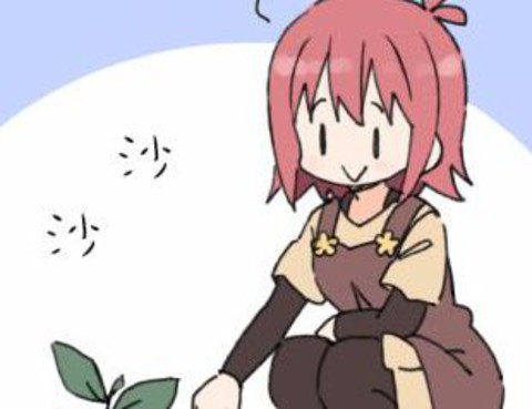 庭院日記