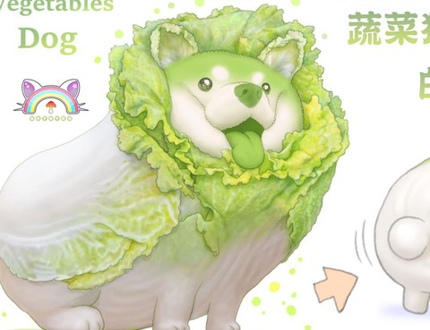 蔬菜圖鑑