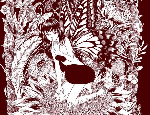 燕尾蝶