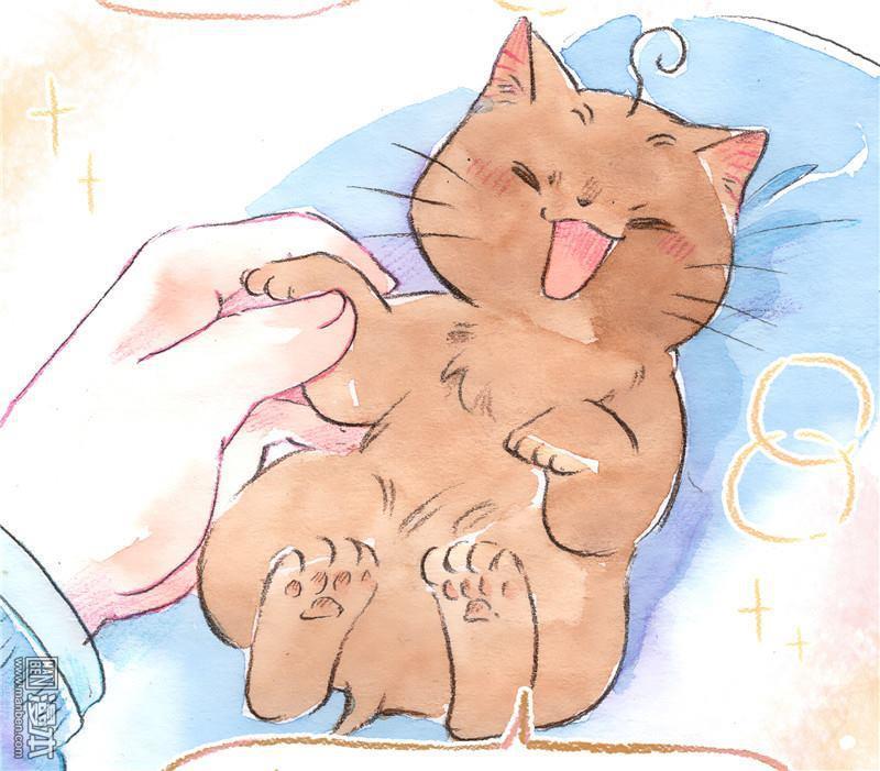 第81回生命的重量（25P）-第21頁